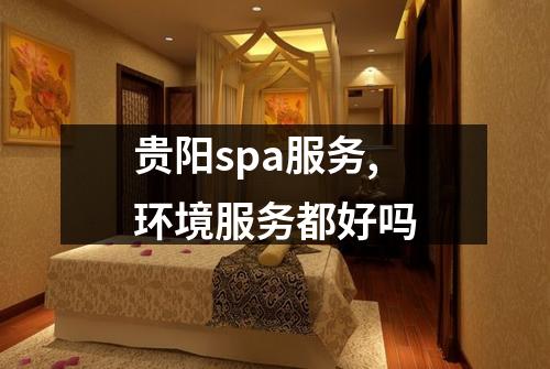 贵阳spa服务,环境服务都好吗