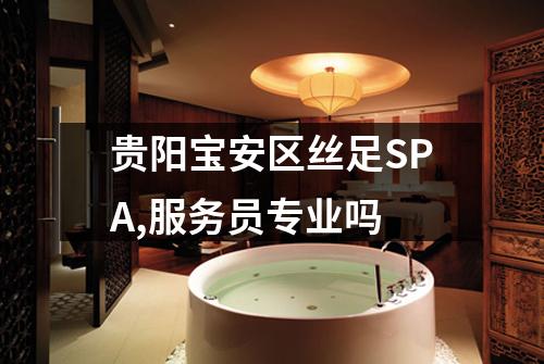 贵阳宝安区丝足SPA,服务员专业吗