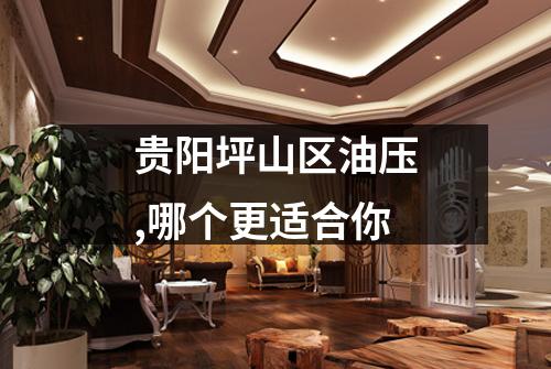 贵阳坪山区油压,哪个更适合你